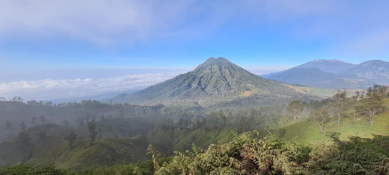 מלון Ketapang  Ijen Transito מראה חיצוני תמונה